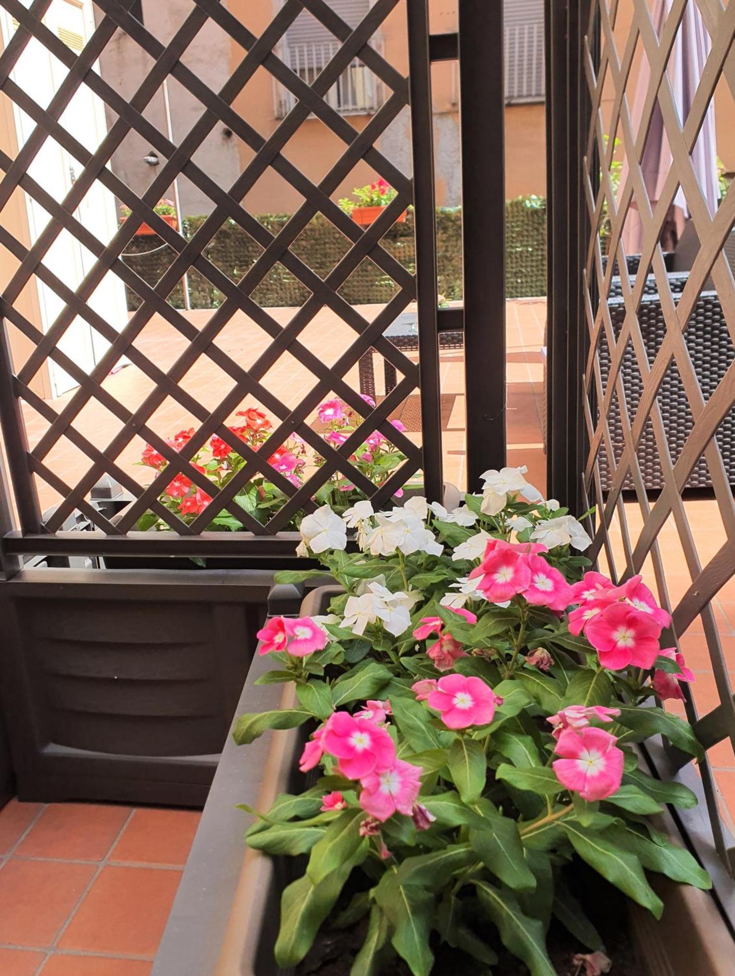 Gaisa Naples - Bed And Breakfast מראה חיצוני תמונה